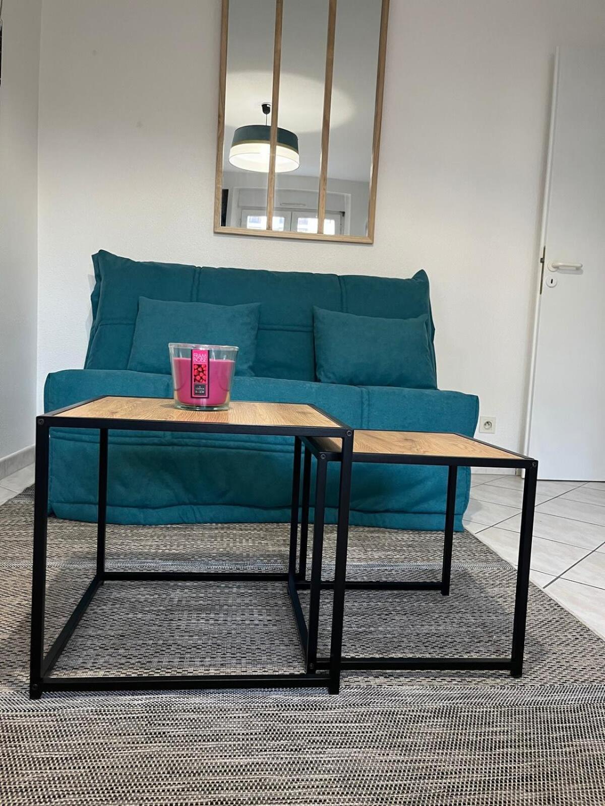 Le Rialto Cozy T2 Avec Parking Lejlighed Annecy Eksteriør billede